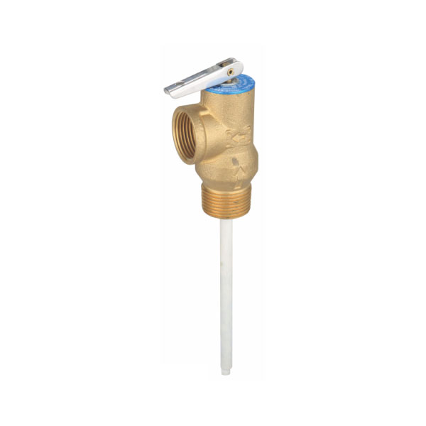 Temperature and Pressure Relief Valve